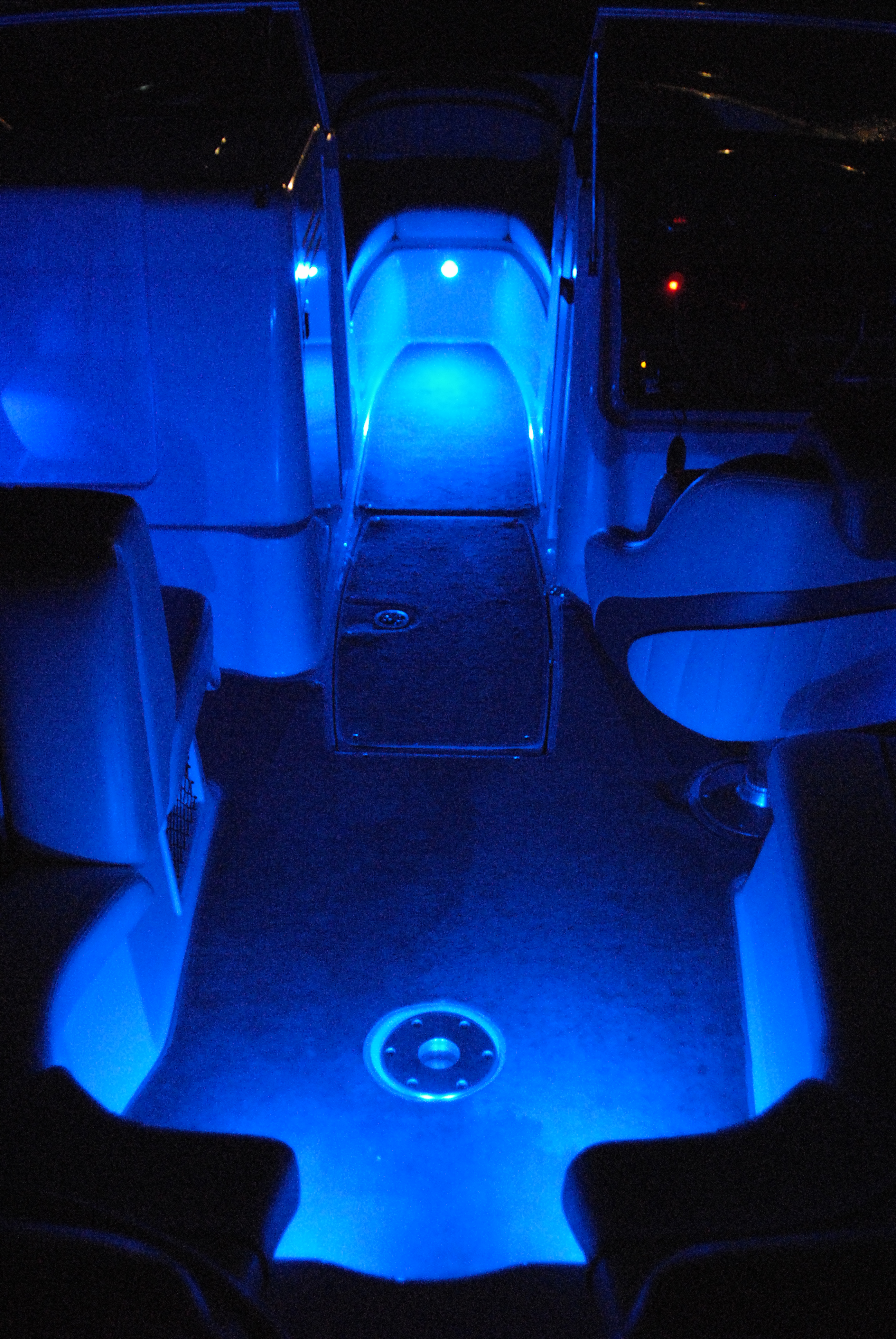 Blue LED Courtesy Lights