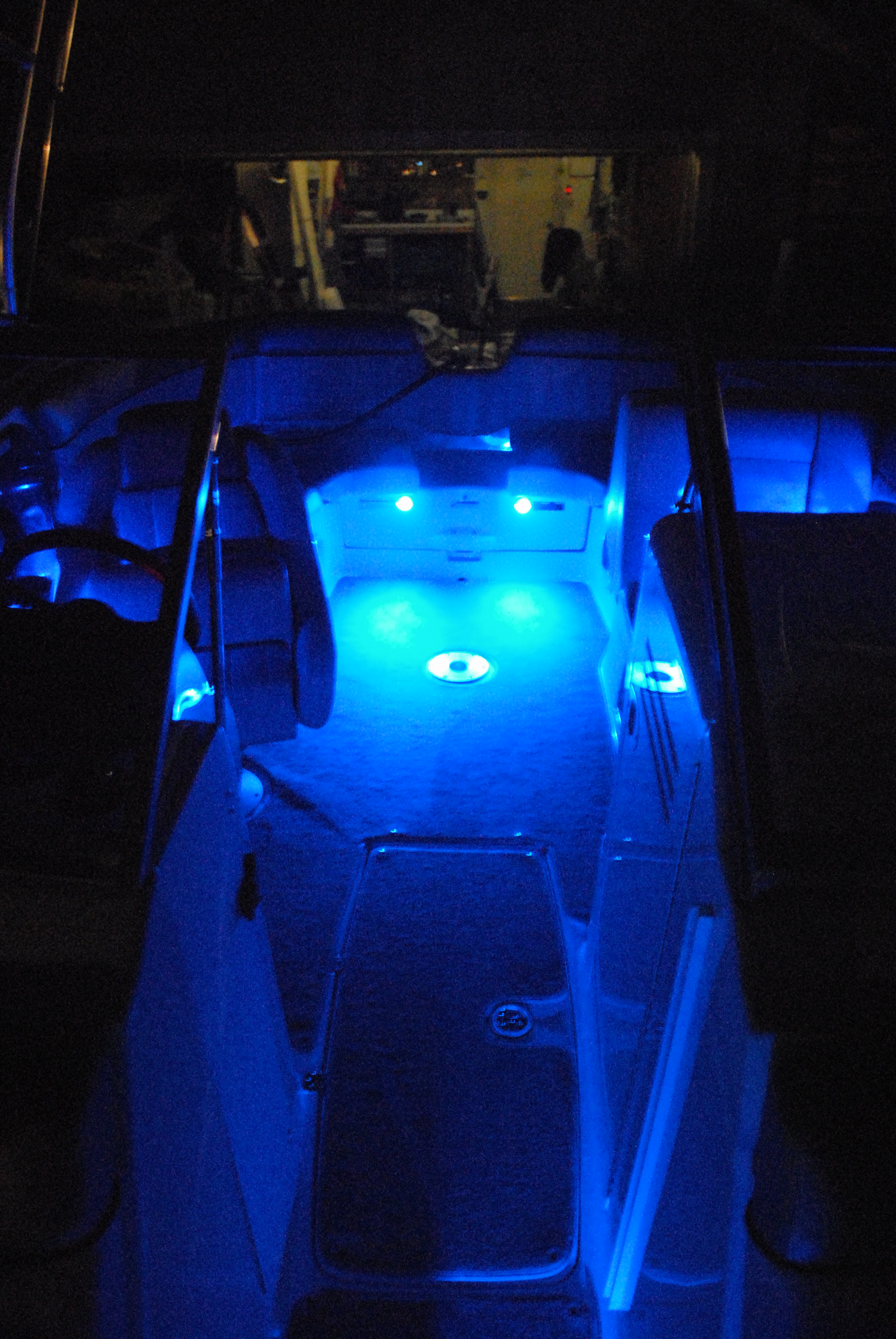 Blue LED Courtesy Lights