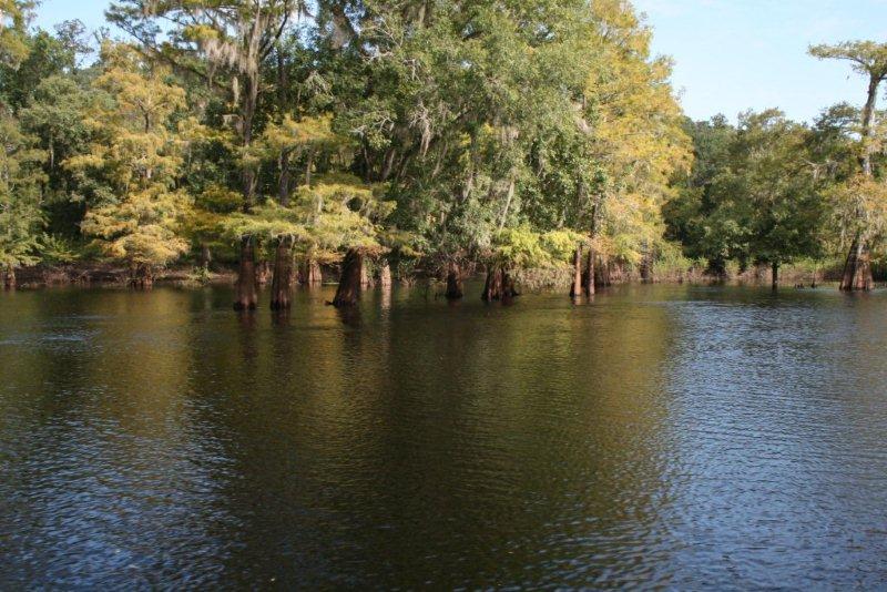 Suwannee River