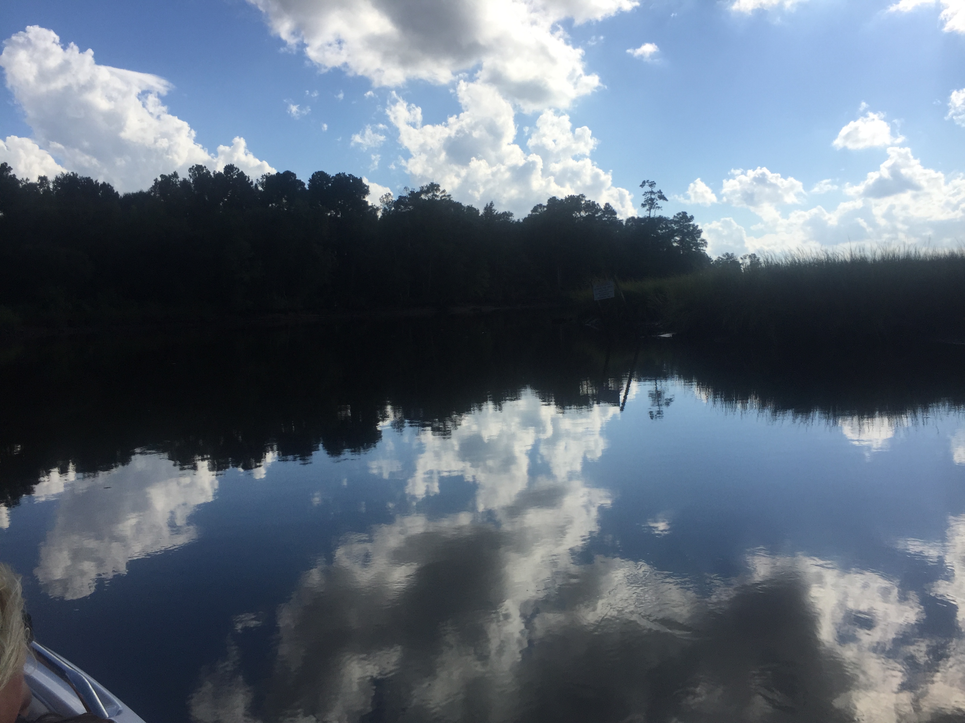 The Goose Creek off of the Cooper River